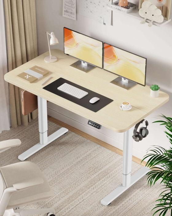 Flycity Electric Standing Desk Height Adjustable Computer Desk