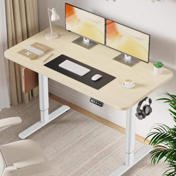 Flycity Electric Standing Desk Height Adjustable Computer Desk