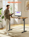 Electric Standing Desk legs