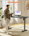 Flycity Electric Standing Desk Height Adjustable Computer Desk