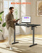 Flycity Electric Standing Desk Height Adjustable Computer Desk