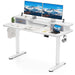 Flycity Electric Standing Desk with Dual Drawers