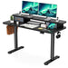 Flycity Electric Standing Desk with Dual Drawers